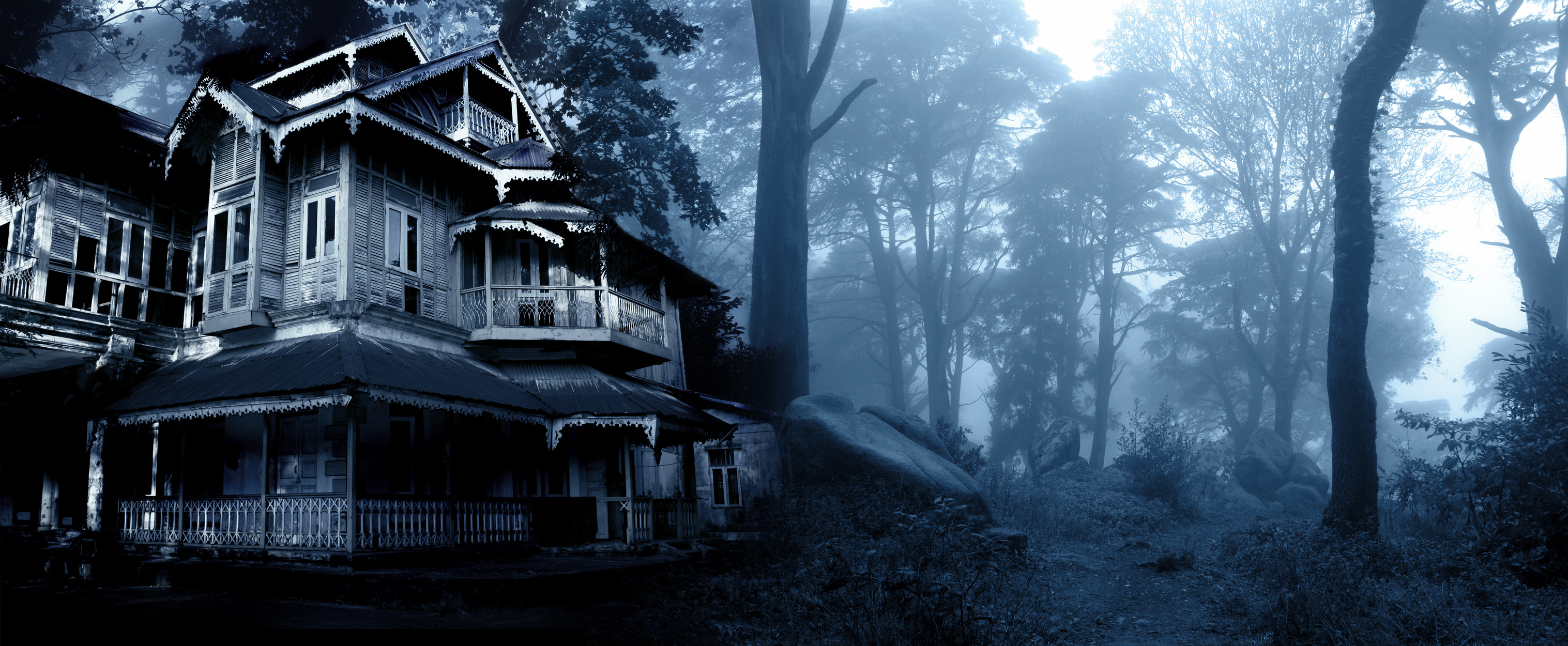 Haunted house. Old abandoned house in the night forest